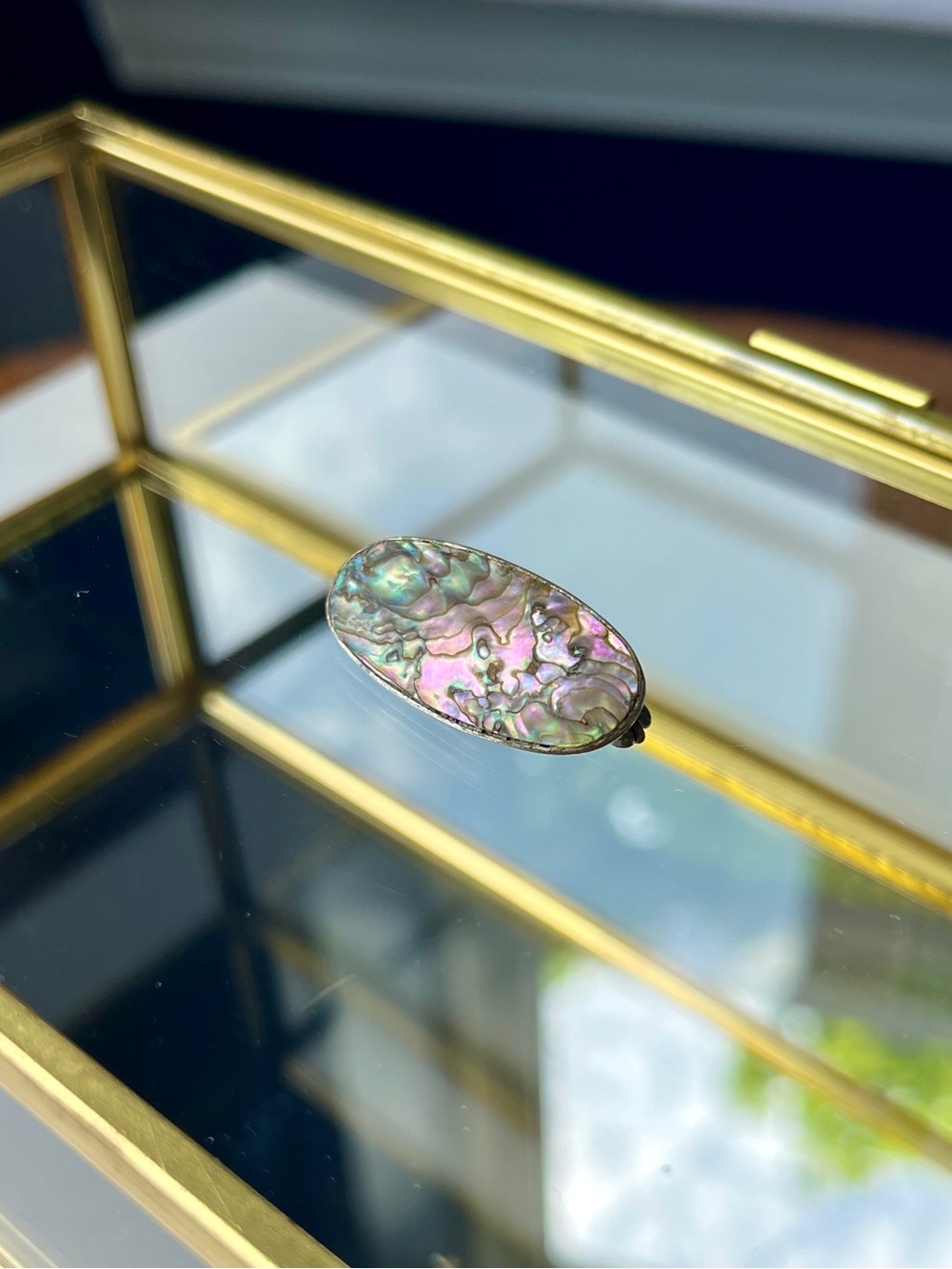 🐚 Abalone Shell Brooch Pin
